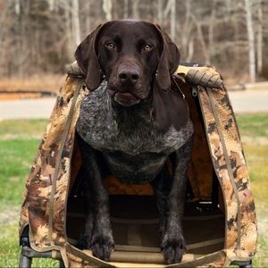 Meet your Posher, Davis